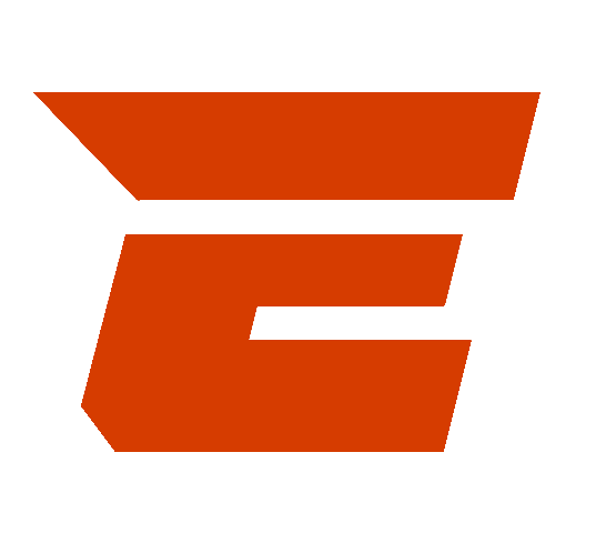 Everleven